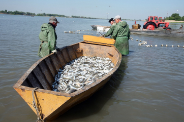 Приморские рыбаки просят отложить второй этап инвестиционных квот   